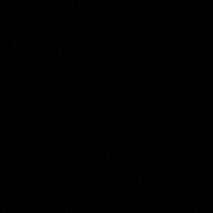 Meet your Posher, Bailey